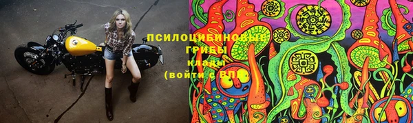 ECSTASY Алексеевка