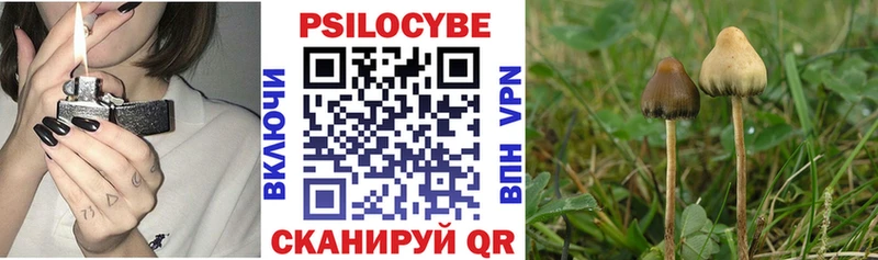 Галлюциногенные грибы Magic Shrooms Южно-Сухокумск
